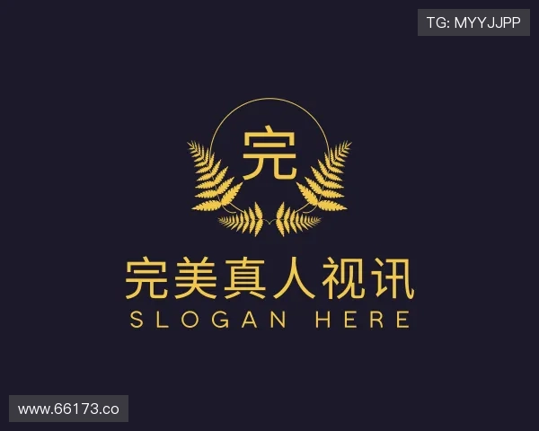 领会完美真人视讯